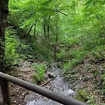 Fachwerk-romantik 1 An Der Mosel 公寓