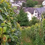 Fachwerk-romantik 1 An Der Mosel 公寓 *