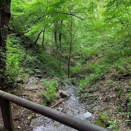 Fachwerk-romantik 1 An Der Mosel Apartmán