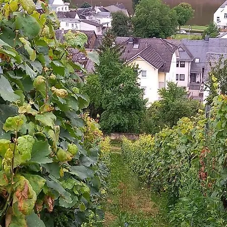 Fachwerk-romantik 1 An Der Mosel Apartmán *