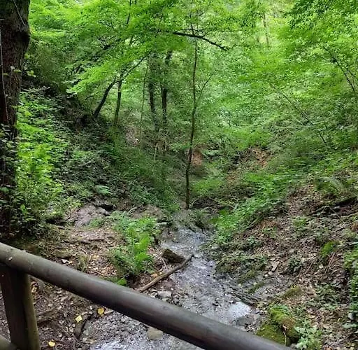 Fachwerk-romantik 1 An Der Mosel Daire