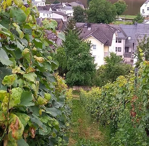 Fachwerk-romantik 1 An Der Mosel דירה *